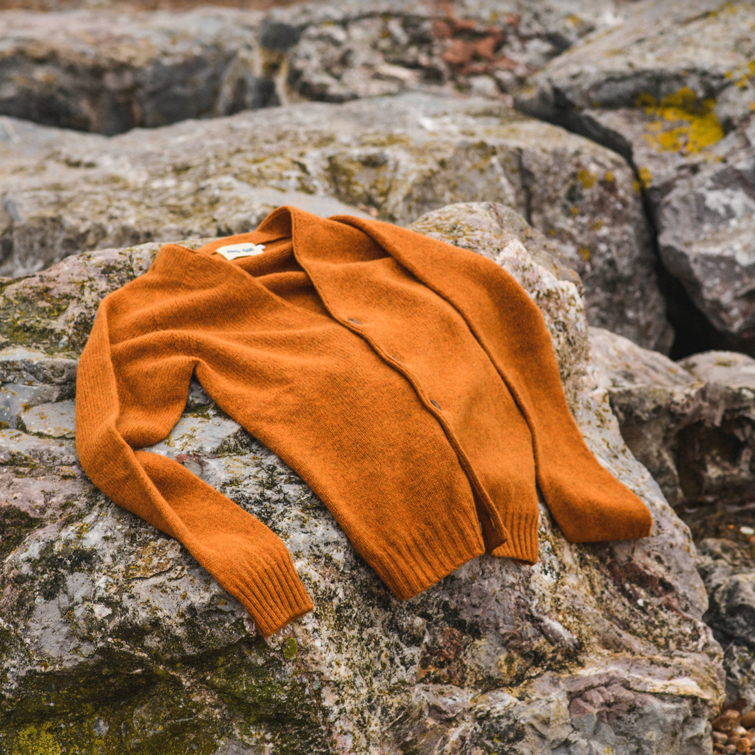 Shetland Wool Seamless Cardigan - Amber