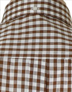 JTG Brown Gingham L/S