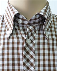 JTG Brown Gingham S/S